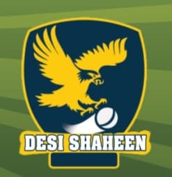 Desi Shaheen team logo