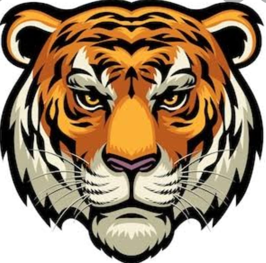 Manjho Tiger team logo