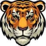 Manjho Tiger
