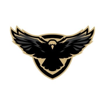 Rising Falcon team logo