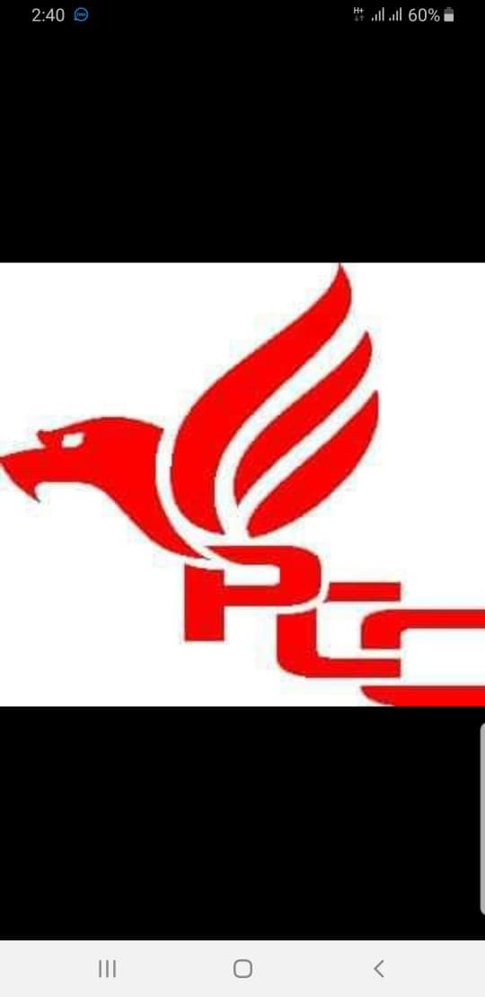 Pakpattan Cricket Club , Pakpattan team logo