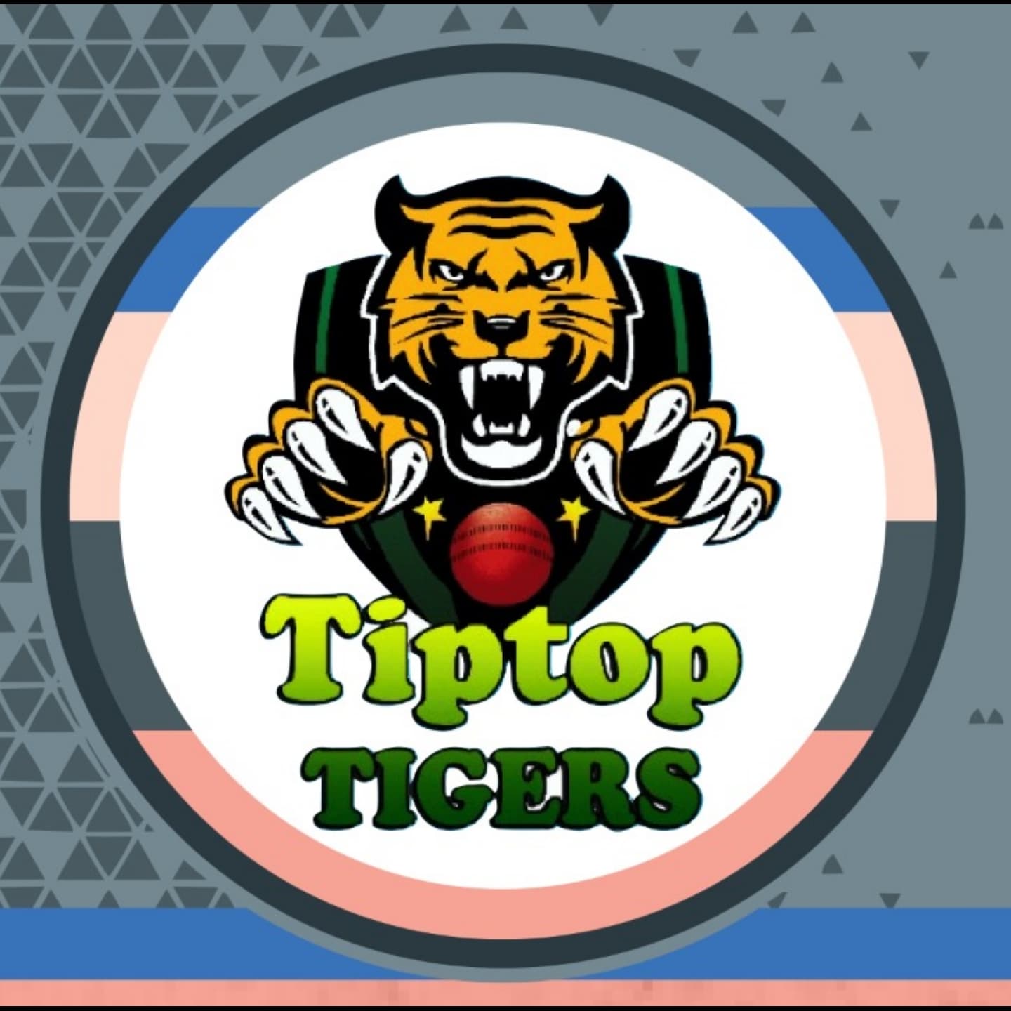 TIP TOP TIGERS