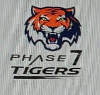 Phase 7 Tigers team logo