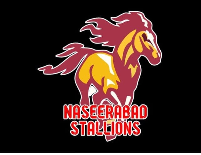 Naseerabad Stallions team logo