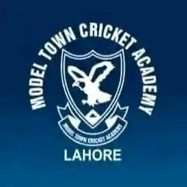 Nawab CA Arfa Tower team logo