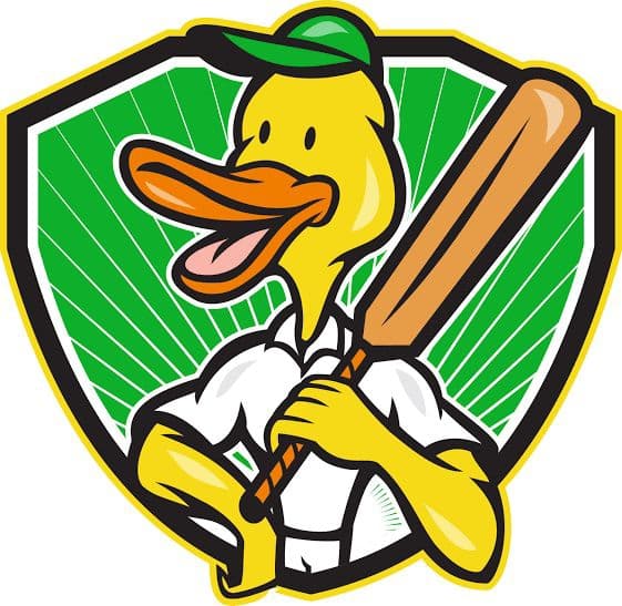 GOLDEN   DUCKS