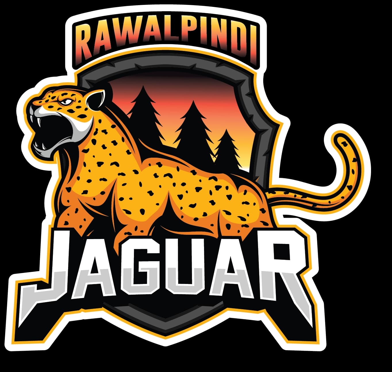 Rawalpindi Jaguars