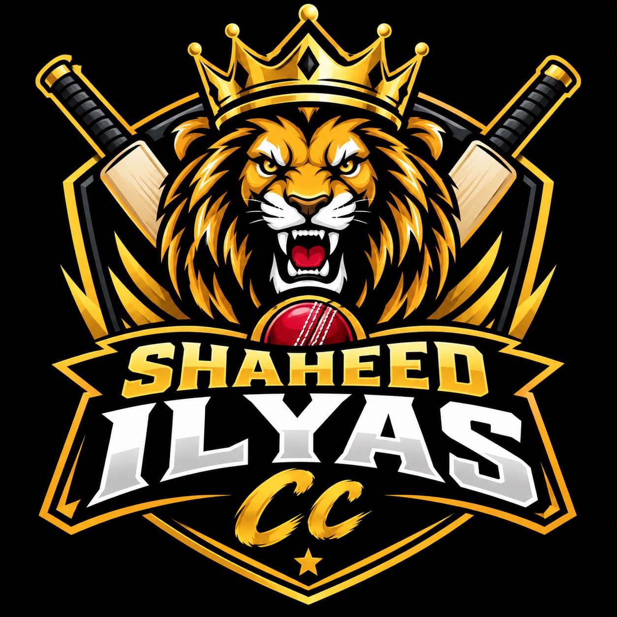 Shaheed Ilyas team logo