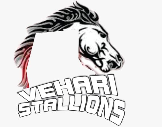Vehari stallions team logo
