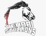 Vehari stallions