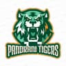 Pandrani Tigers