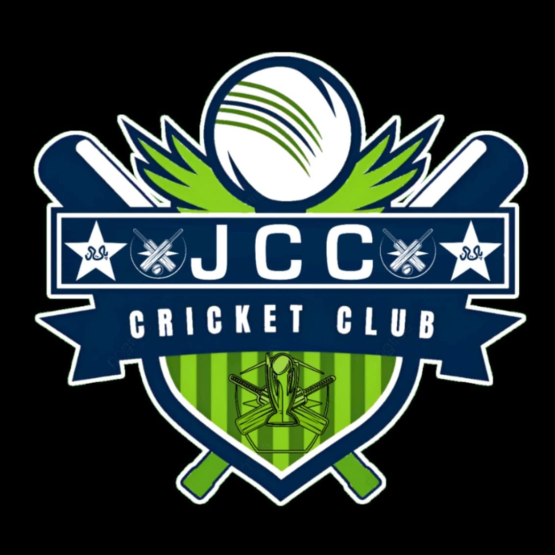 Taimoor Malik team logo