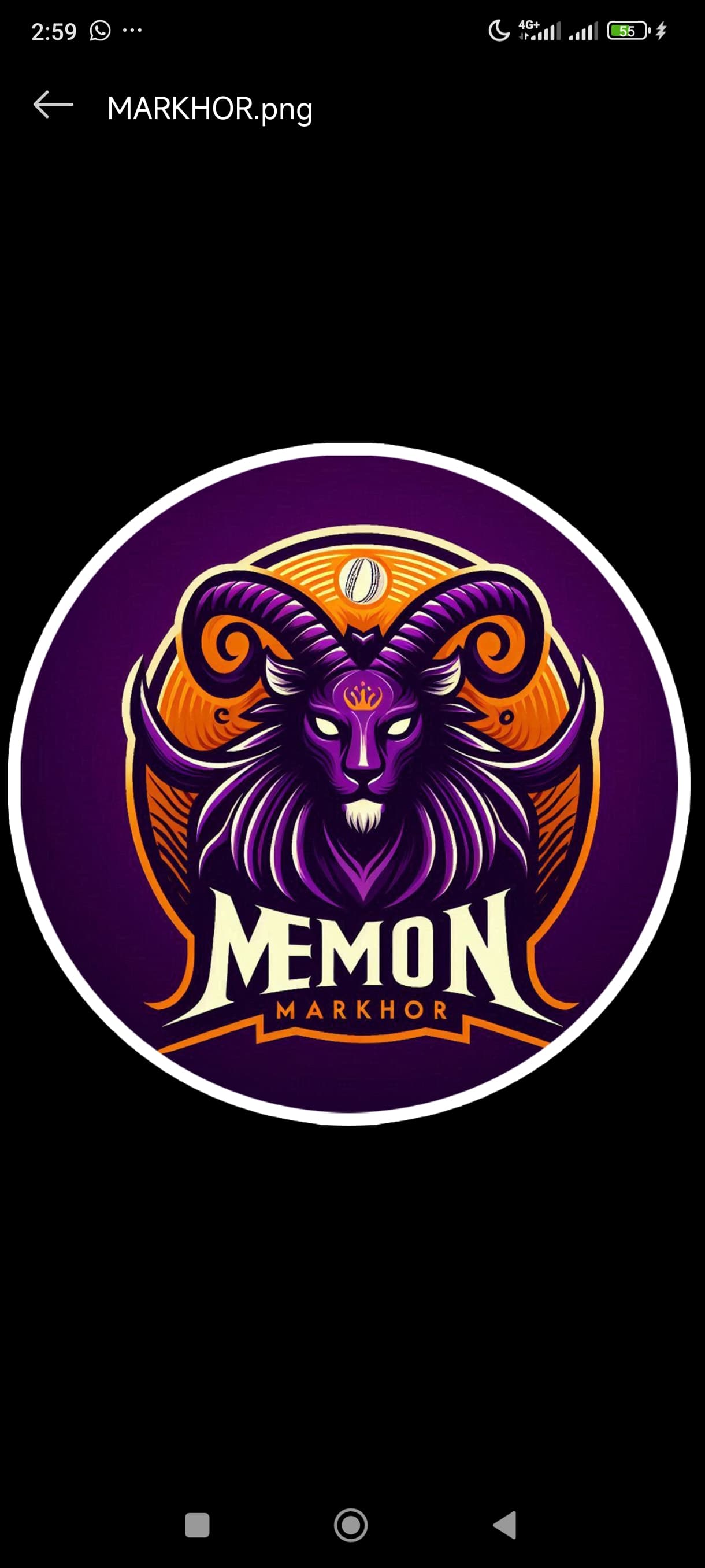 Husnain Hussy team logo