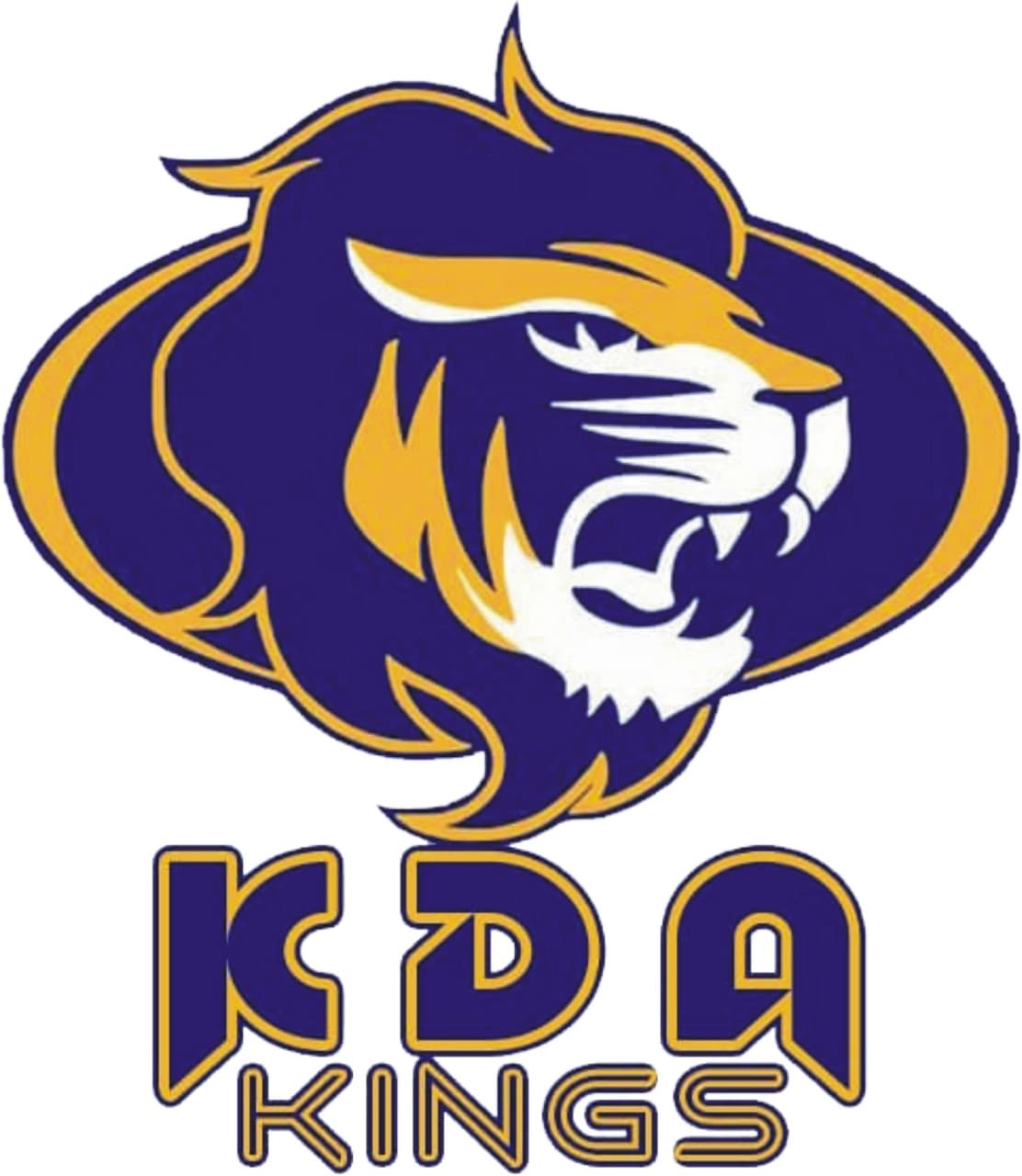 Hamza Khajuria team logo