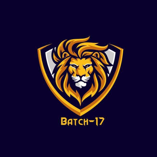 SSC Batch 17 team logo