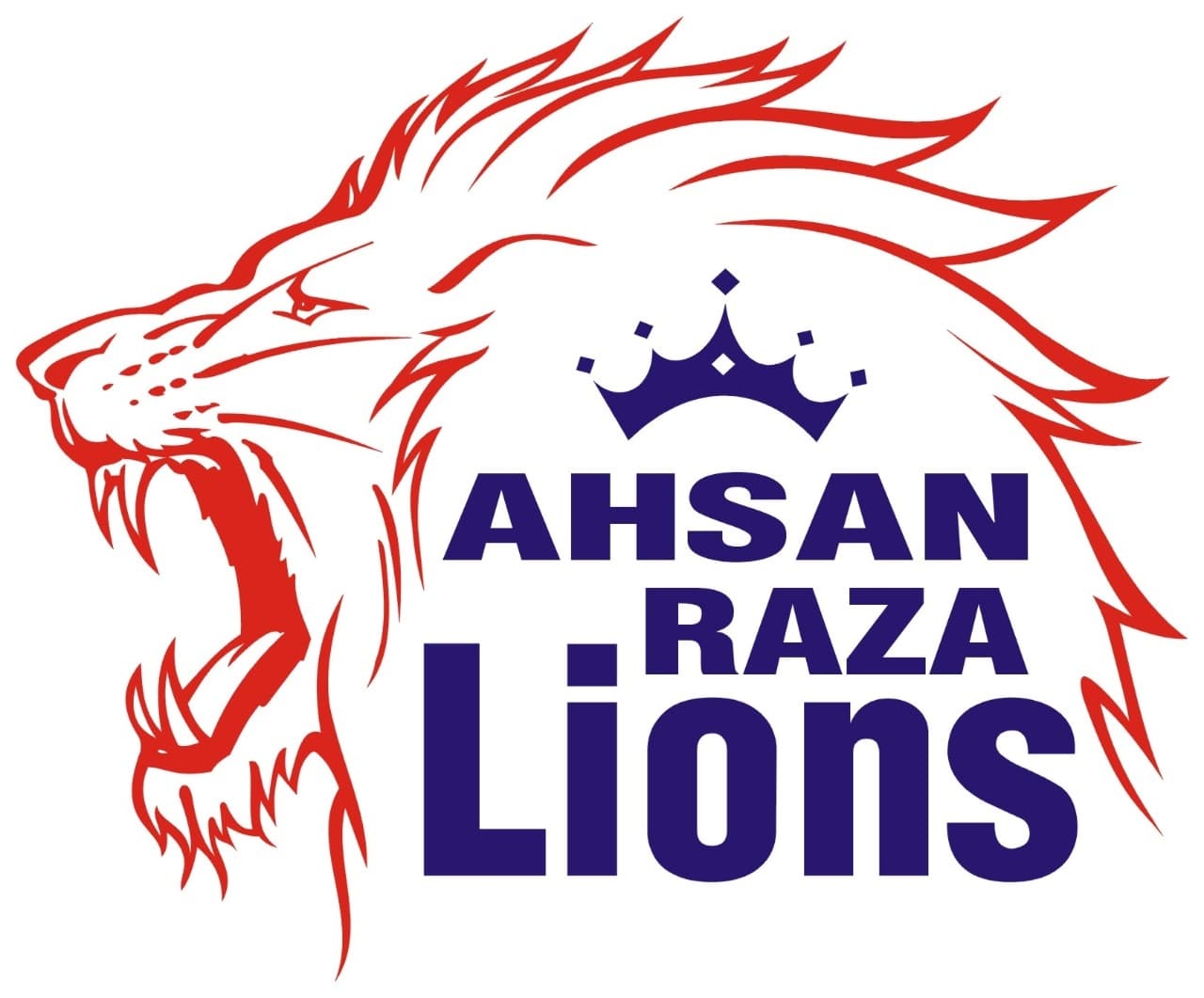 Ahsan Raza Lions