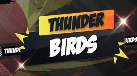 Thander Birds team logo