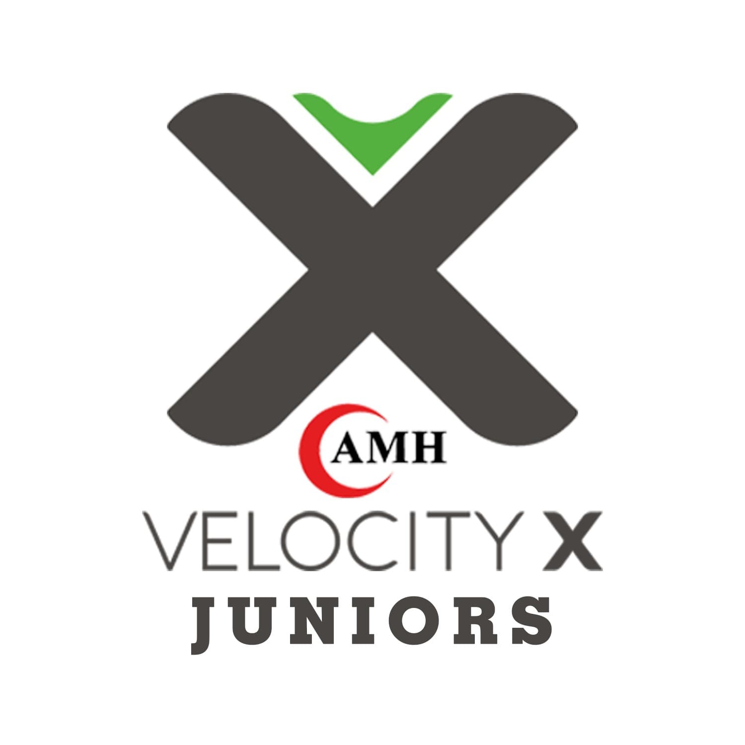 AMH Velocity-X team logo