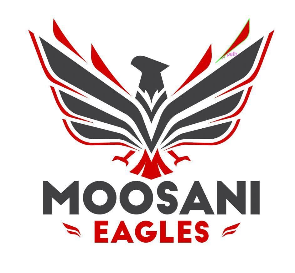 Moosani Eagles team logo