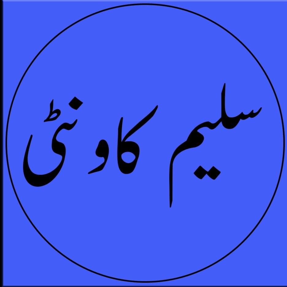 Saleem County team logo