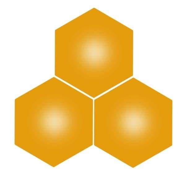 Faizan team logo
