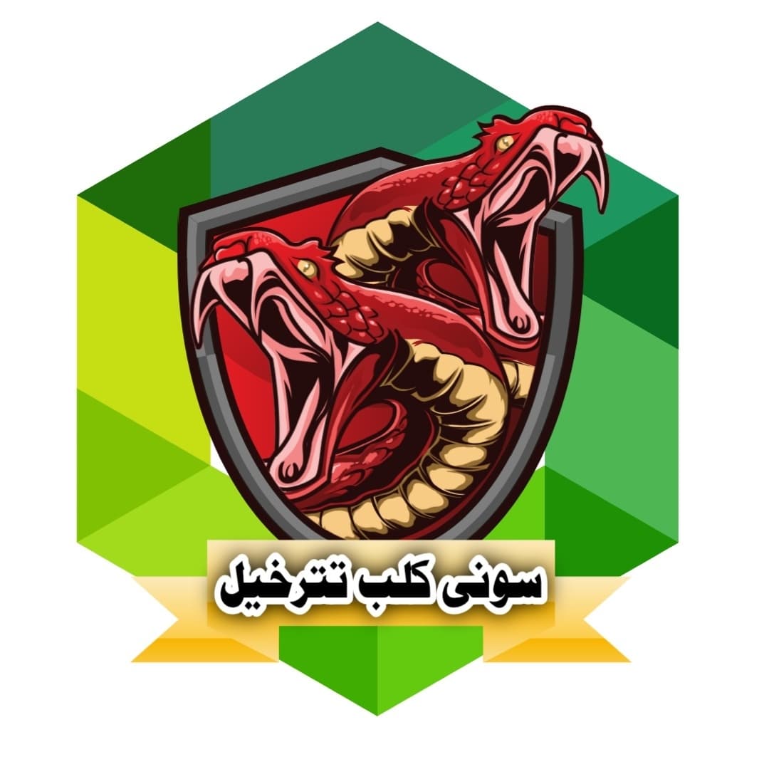 Soni club team logo