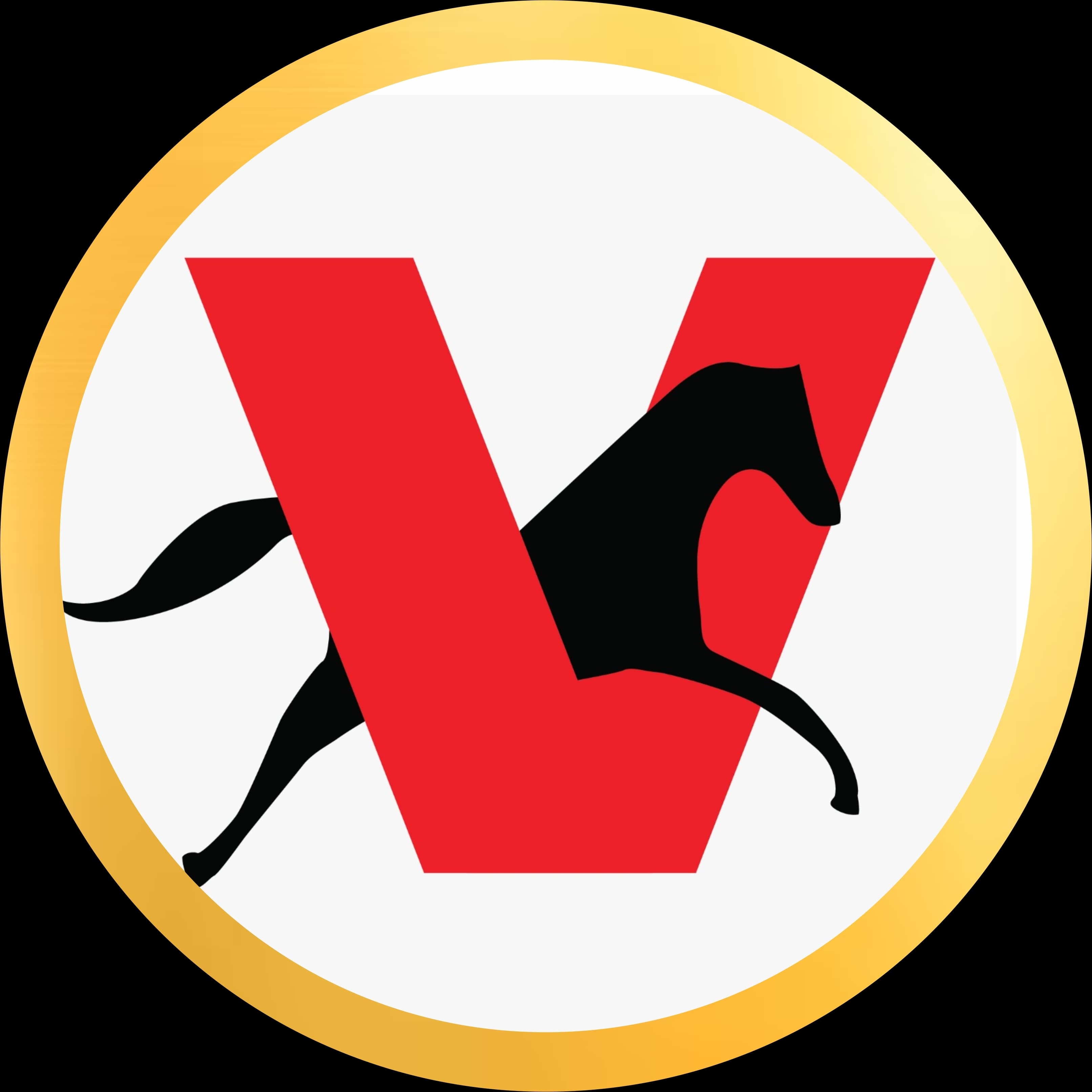 Vayudoot Racers team logo