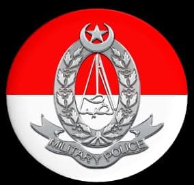 Provost 11 team logo