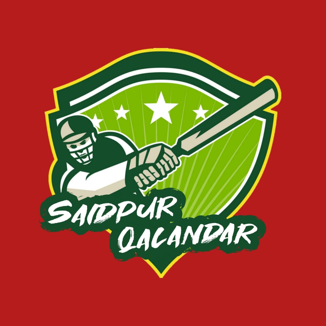 SAIDPUR QALANDER team logo