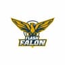 FLASH FALCON