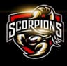 SALWAL SCORPIONS