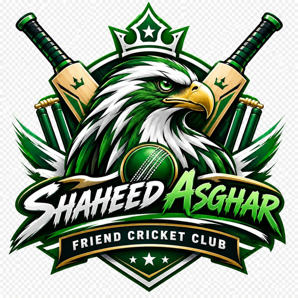 Asghar Friends Cricket Club Rajanpur