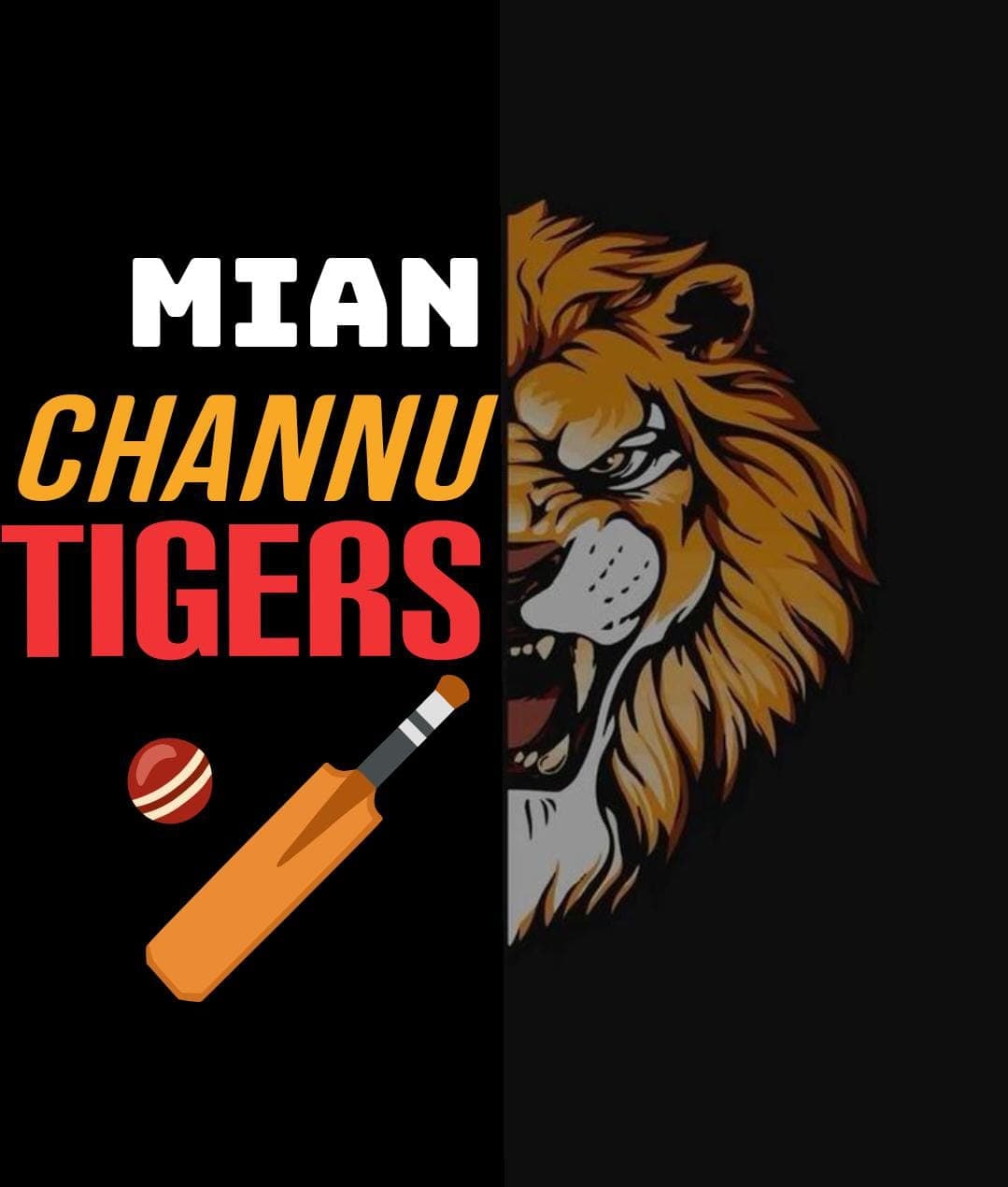 Mian Channu Tigers