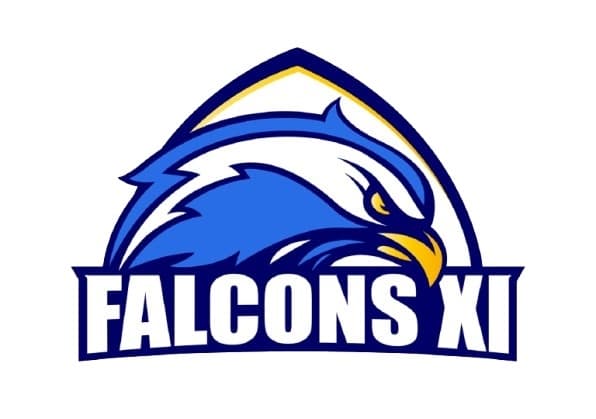 FALCONS  XI