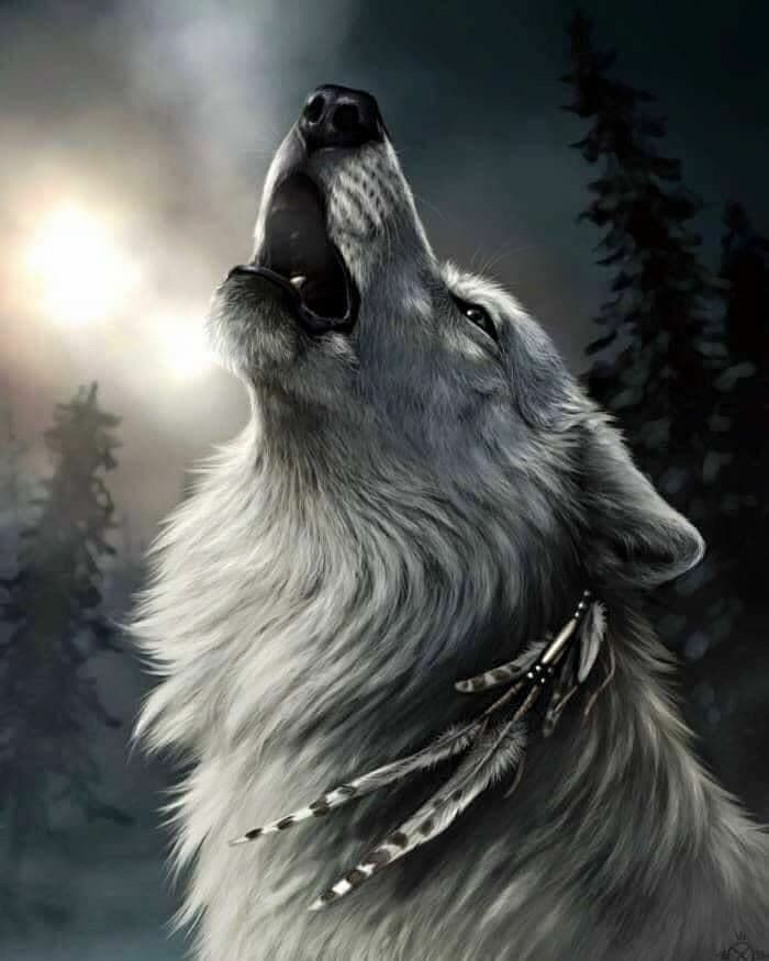 THE  WOLFPACKS
