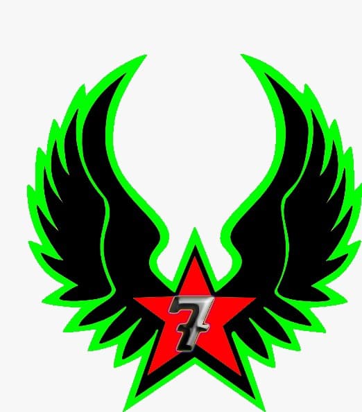 Seven Star 1/4-L team logo