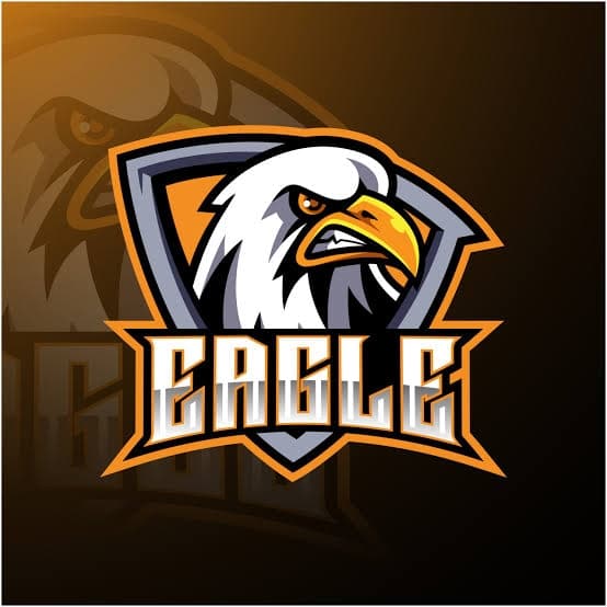 Zeeshan team logo