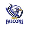 MSG Falcons