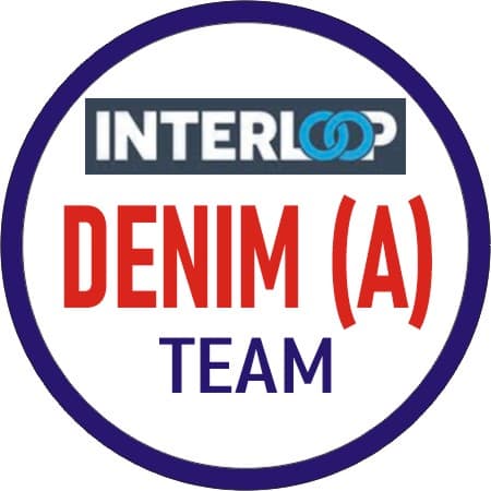 Denim (A) Panthers team logo