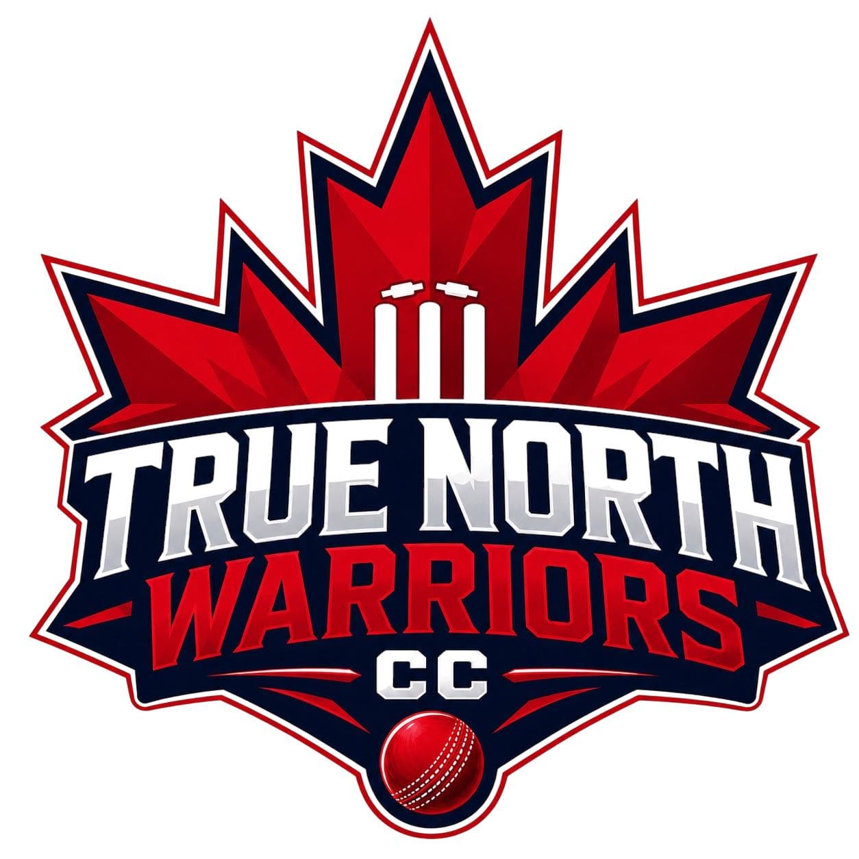 True North Warriors team logo