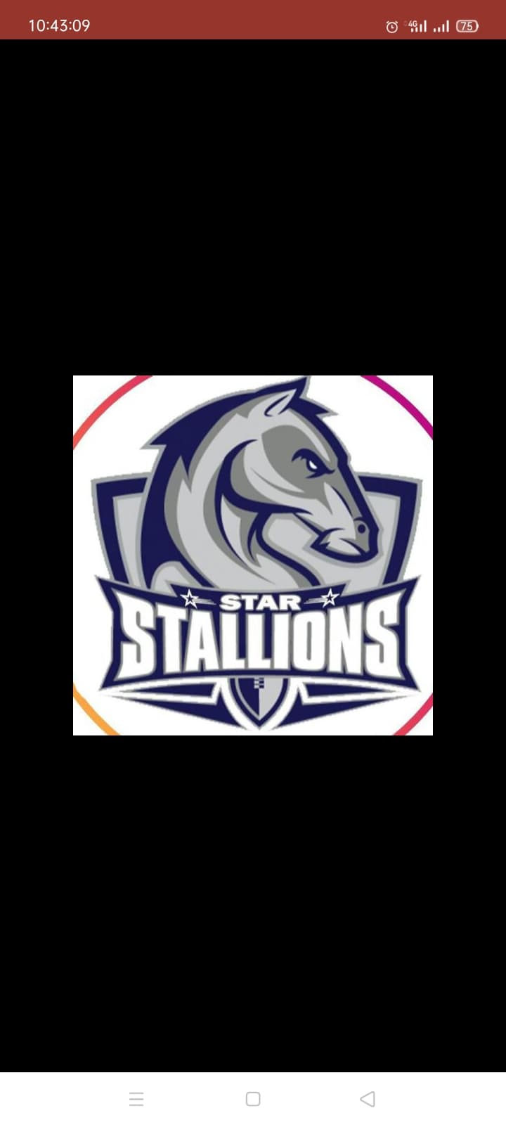 Star Stallions