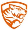 Surjaani Panthers
