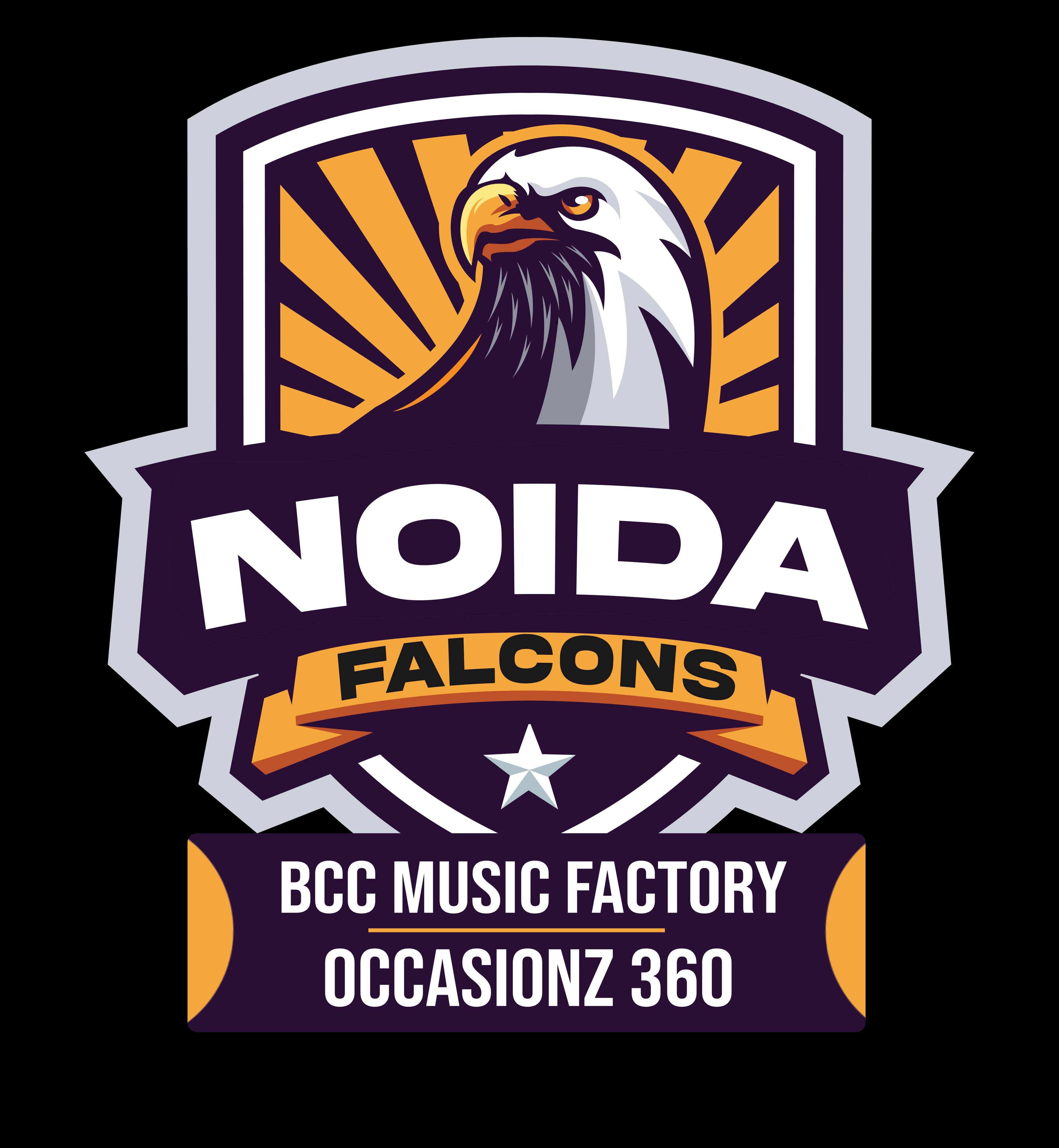 Noida Falcons team logo