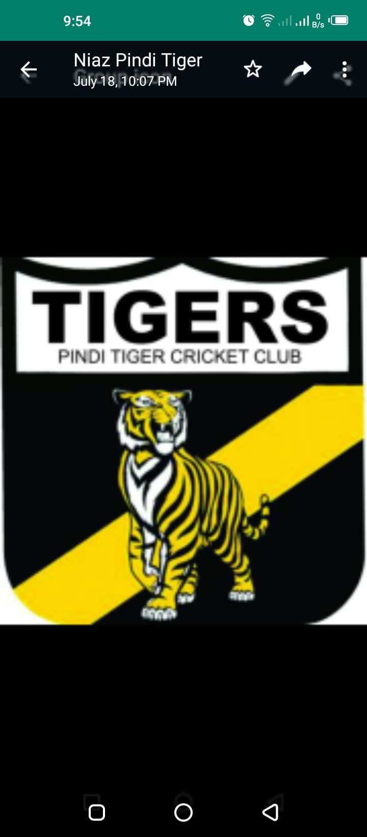 Pindi Tigers team logo