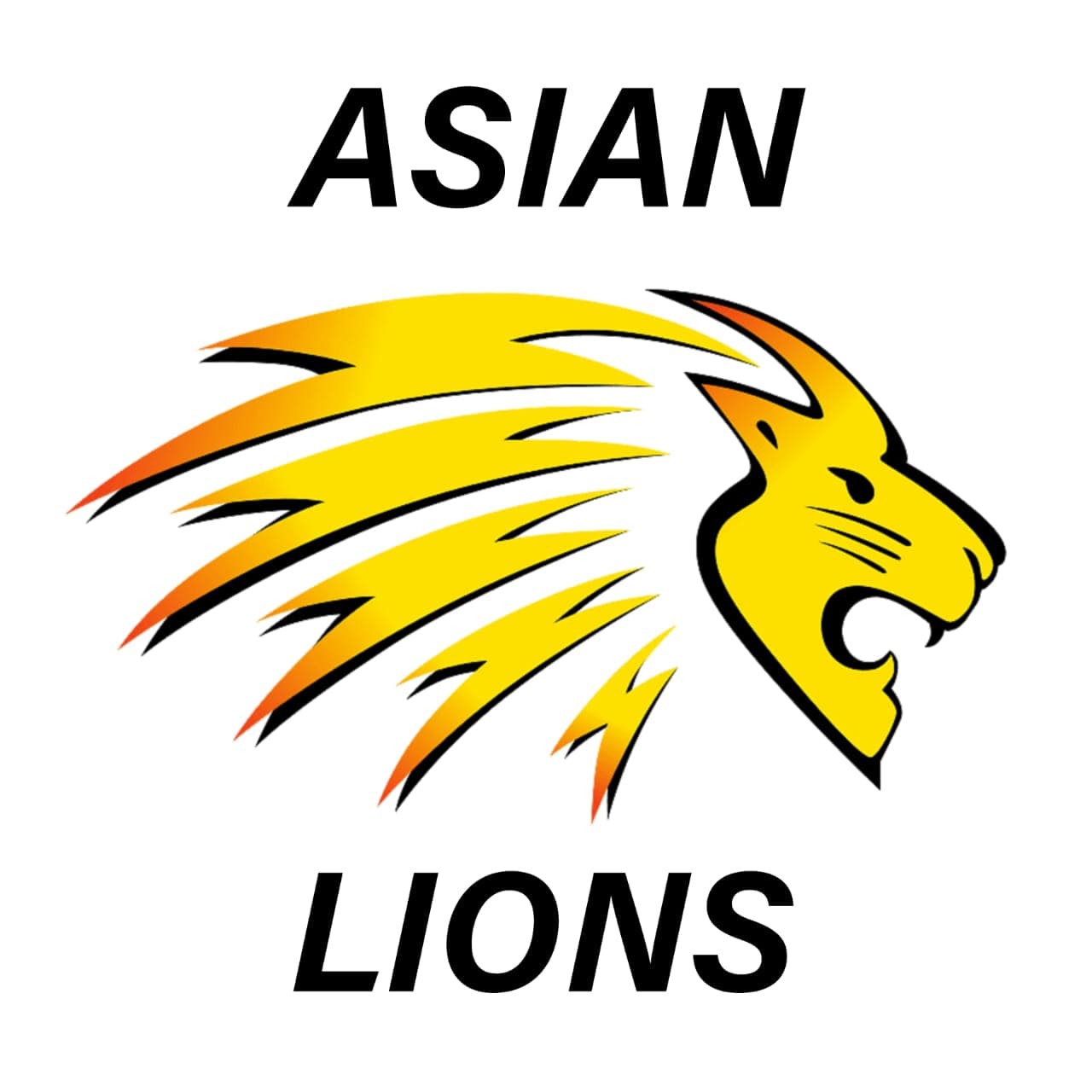 Asian Lions Cricket Club Mehar team logo