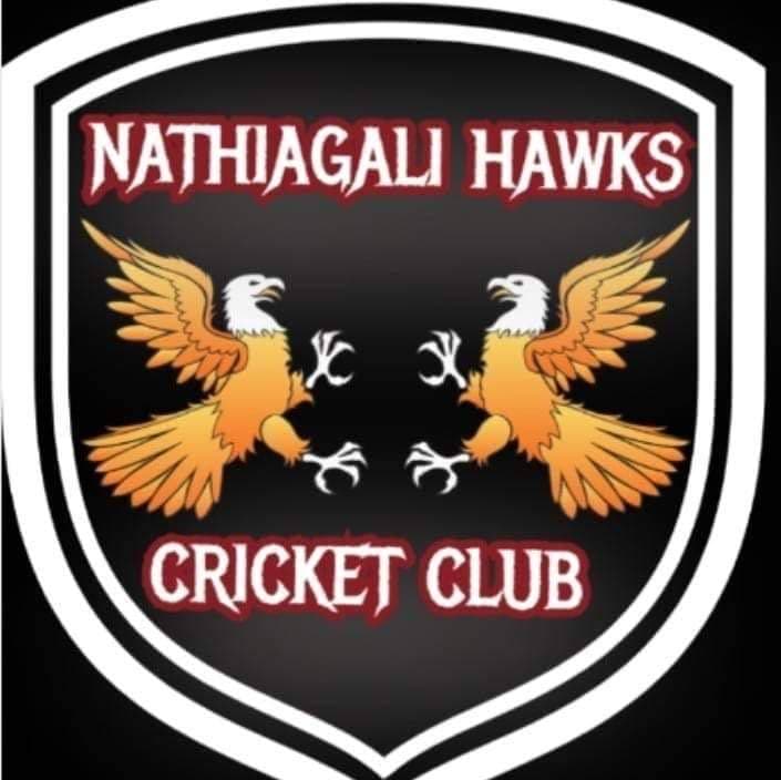 NathiaGali Hawks team logo