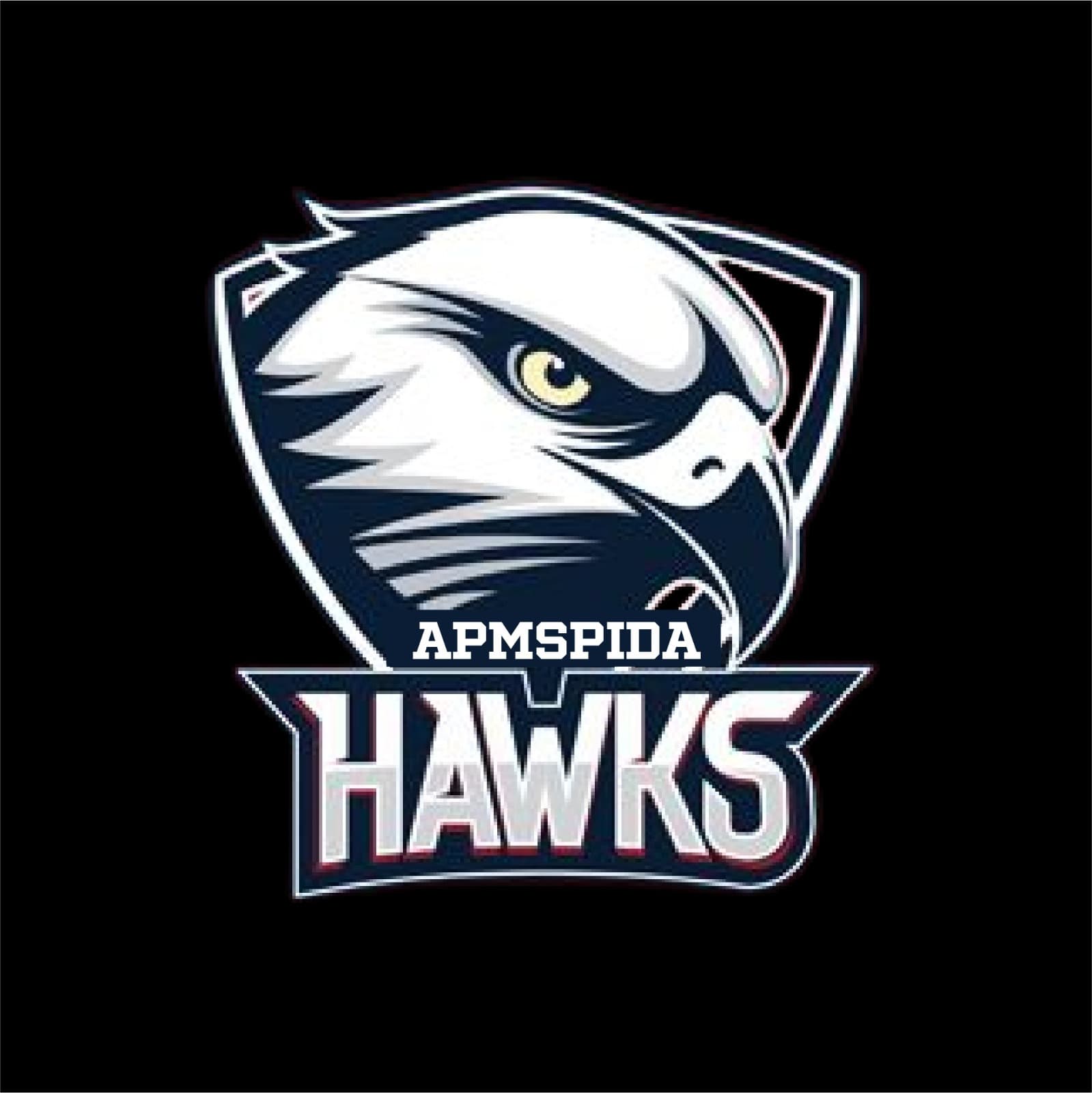 APMSPIDA HAWKS team logo
