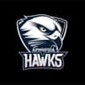 APMSPIDA HAWKS