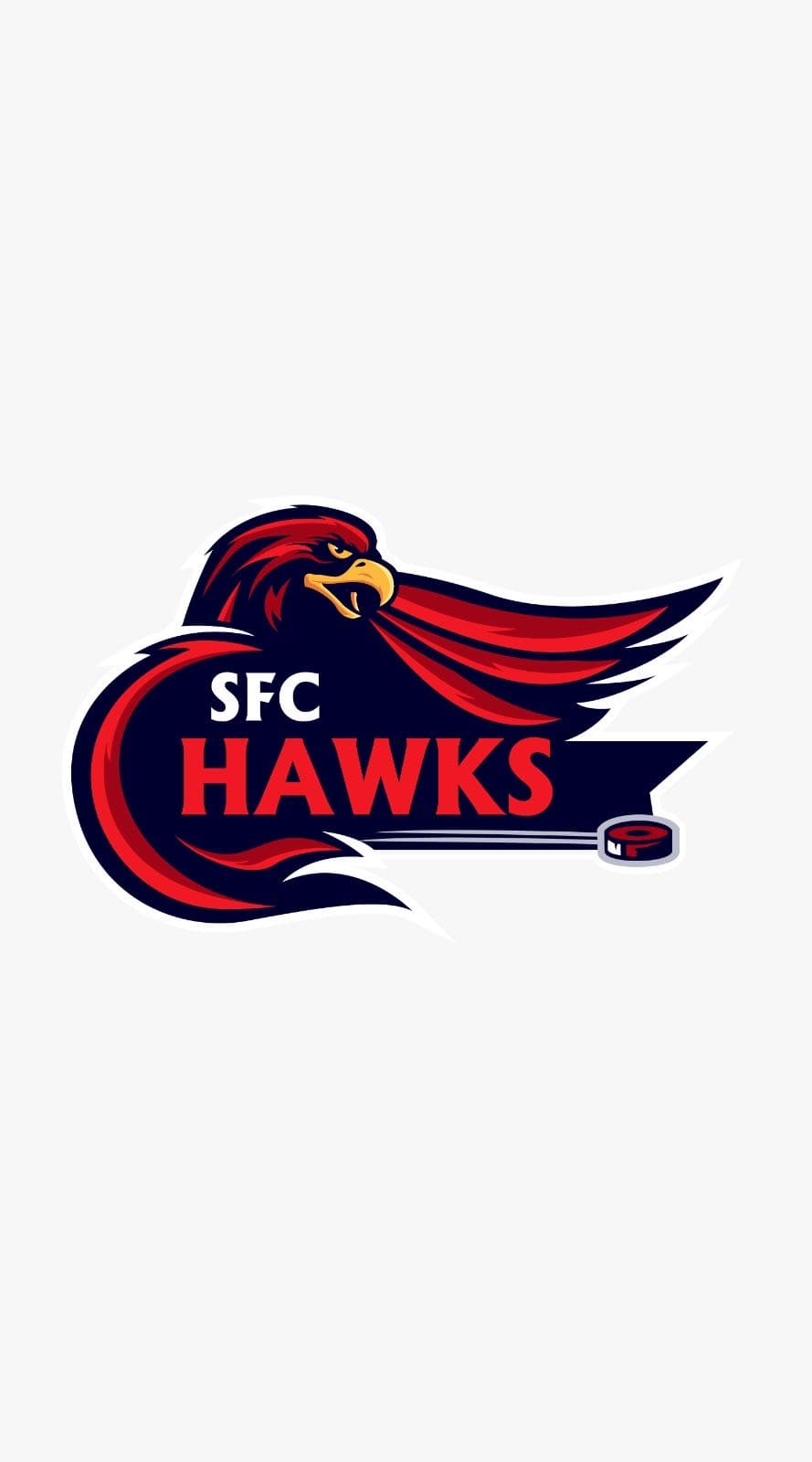 Saud team logo