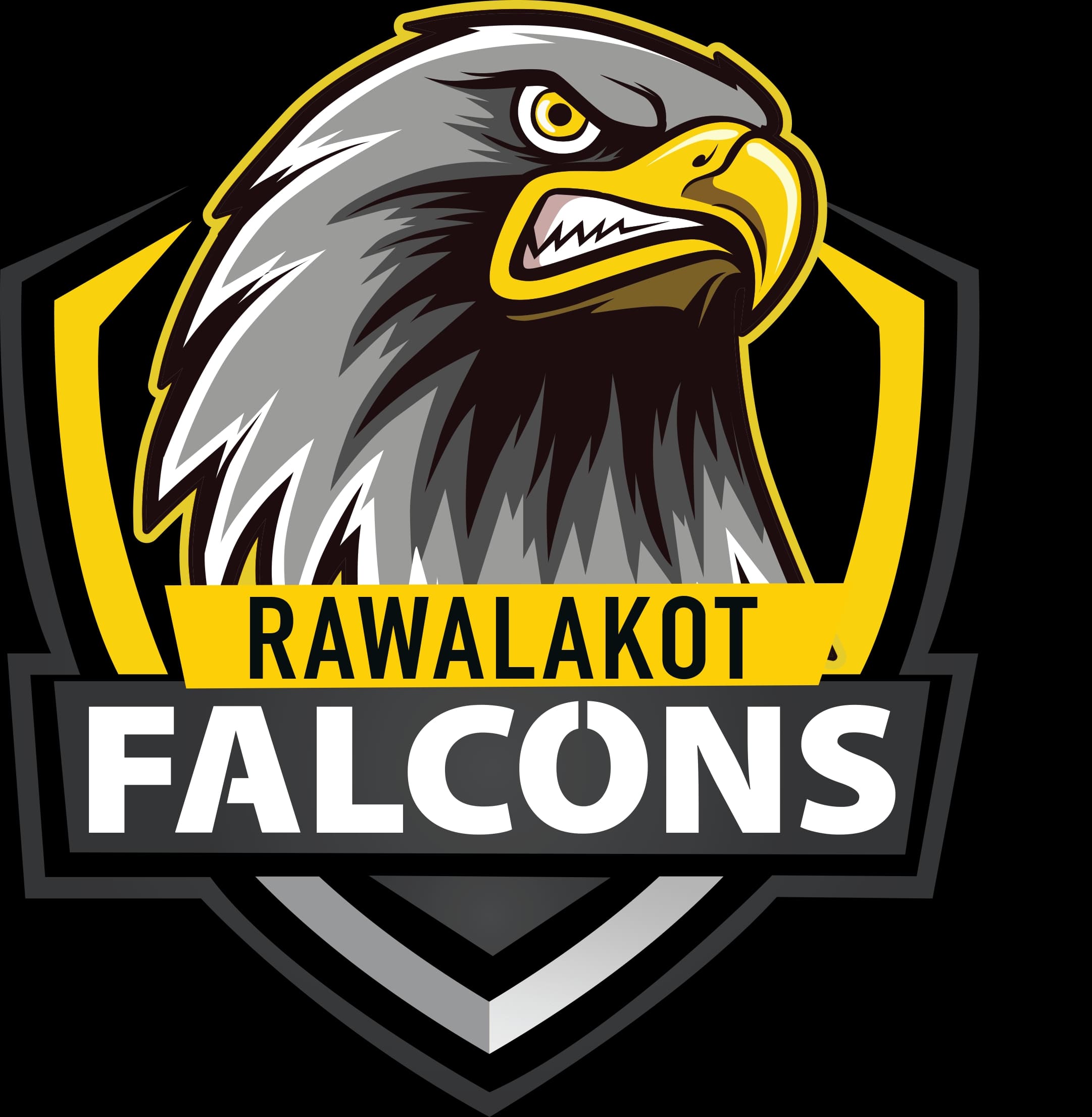 Rawalakot Falcons